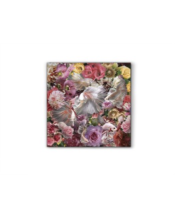 PECES LUCHADOR SIAM- FOTO 120x120